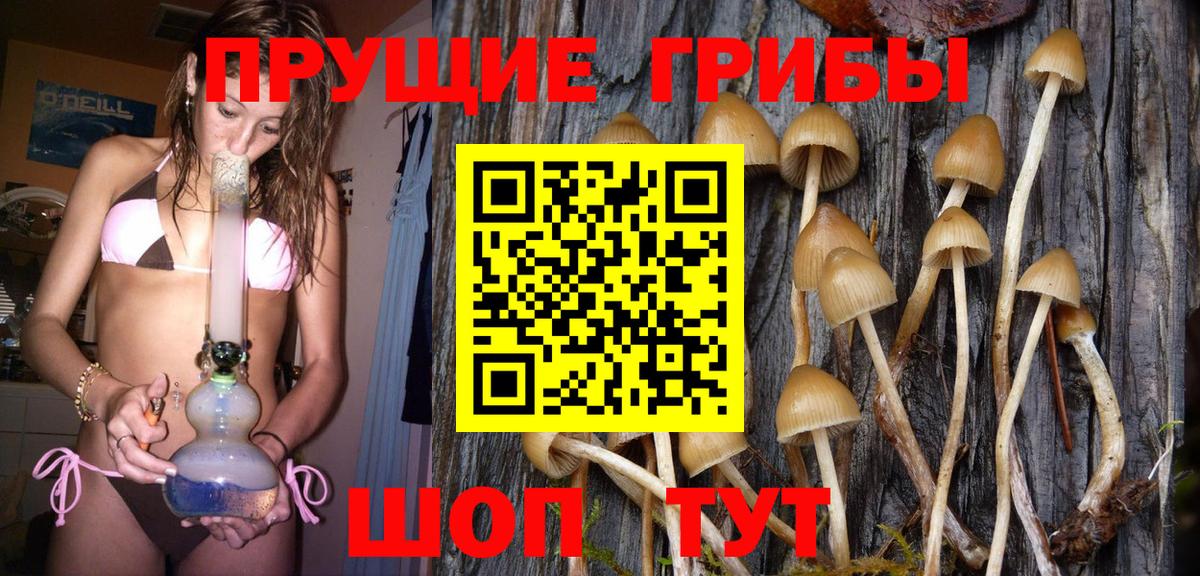 Галлюциногенные грибы мухоморы Воркута